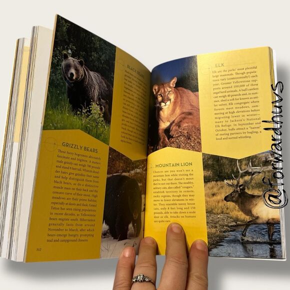 Fodor’s Compass American Guides: Yellowstone & Grand Teton National Parks – 2nd - Picture 8 of 9